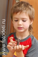 Лепка - одно из любимых занятий детей, фото ребёнка из галереи «Творческие занятия для детей